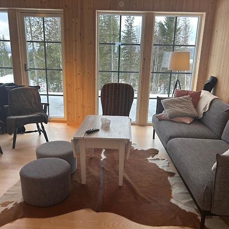 Mountain Holiday Homes - Ottsjoe, Trillevallen -Sweden 아레 외부 사진