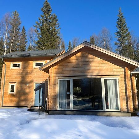 Mountain Holiday Homes - Ottsjoe, Trillevallen -Sweden 아레 외부 사진