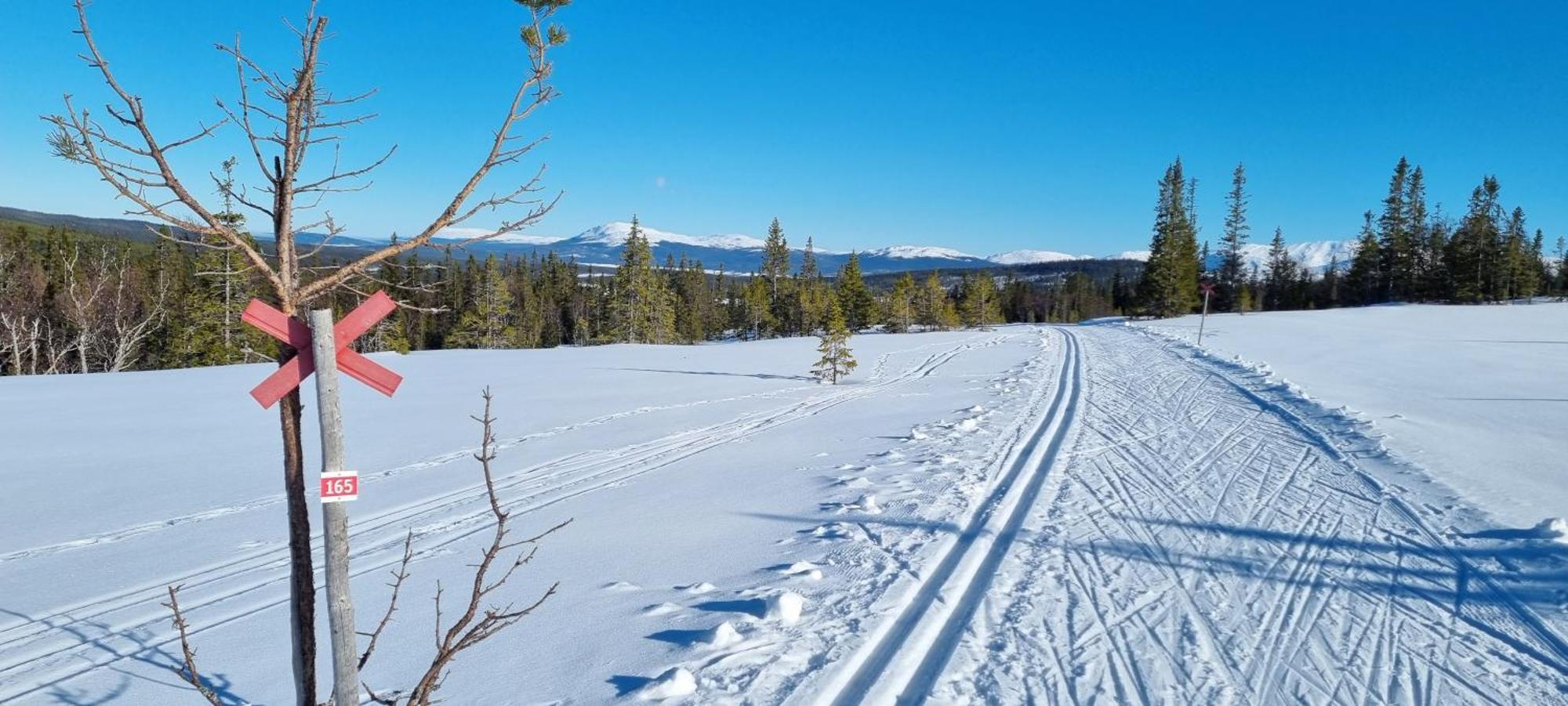 Mountain Holiday Homes - Ottsjoe, Trillevallen -Sweden 아레 외부 사진
