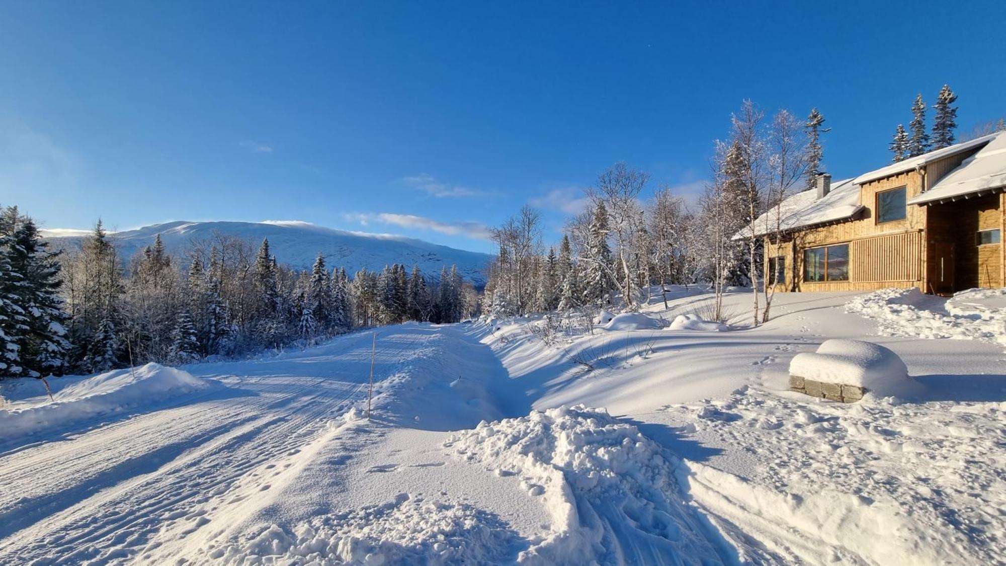 Mountain Holiday Homes - Ottsjoe, Trillevallen -Sweden 아레 객실 사진