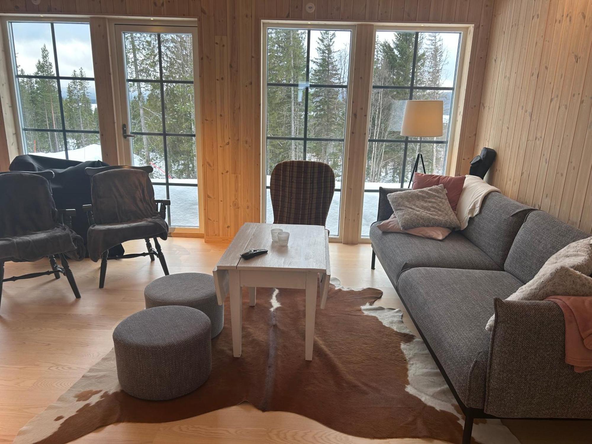 Mountain Holiday Homes - Ottsjoe, Trillevallen -Sweden 아레 외부 사진