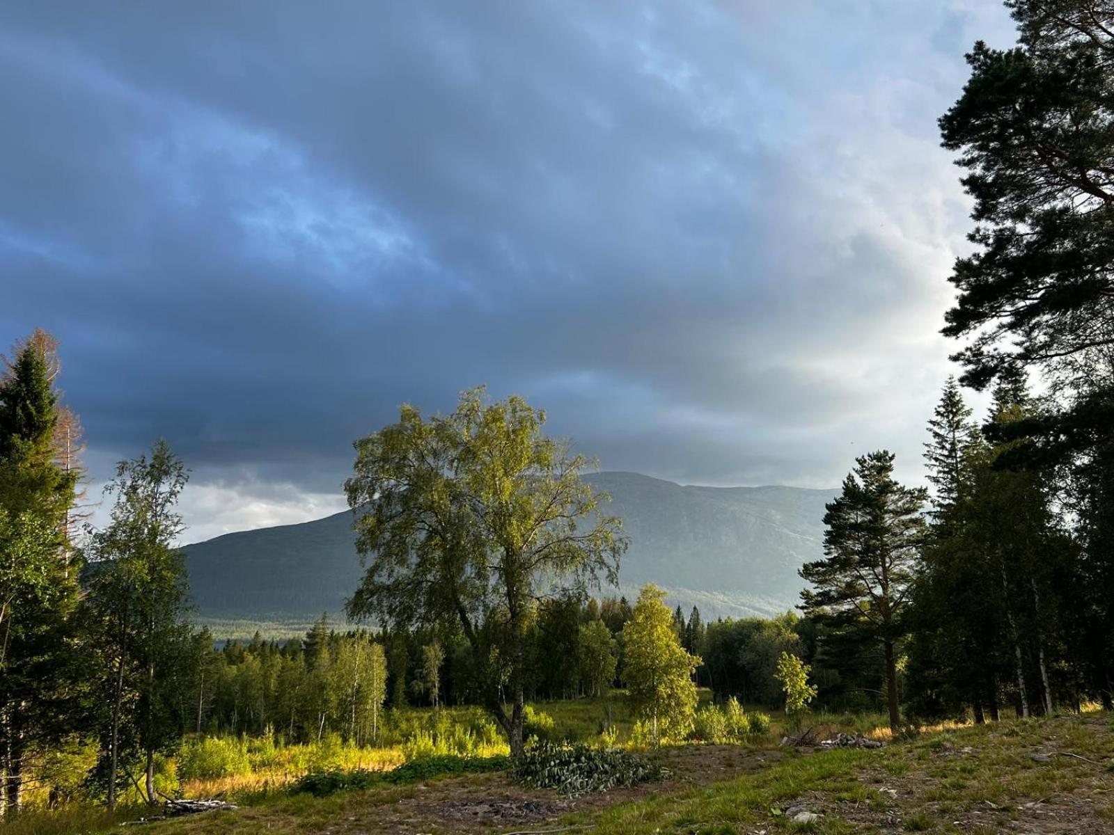 Mountain Holiday Homes - Ottsjoe, Trillevallen -Sweden 아레 객실 사진
