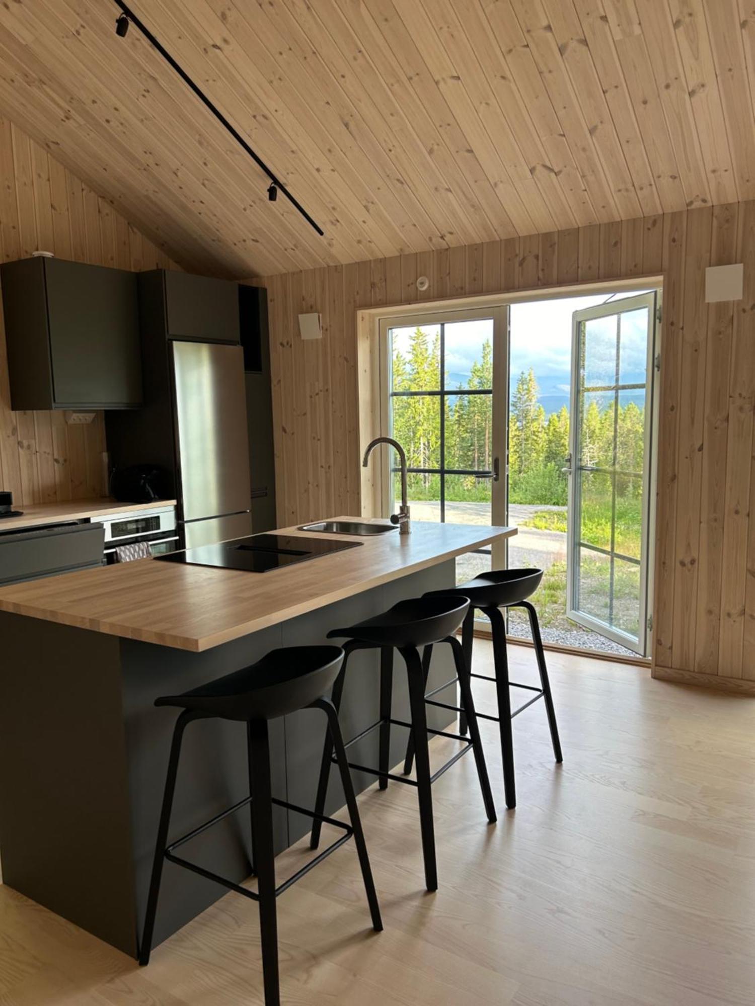Mountain Holiday Homes - Ottsjoe, Trillevallen -Sweden 아레 외부 사진
